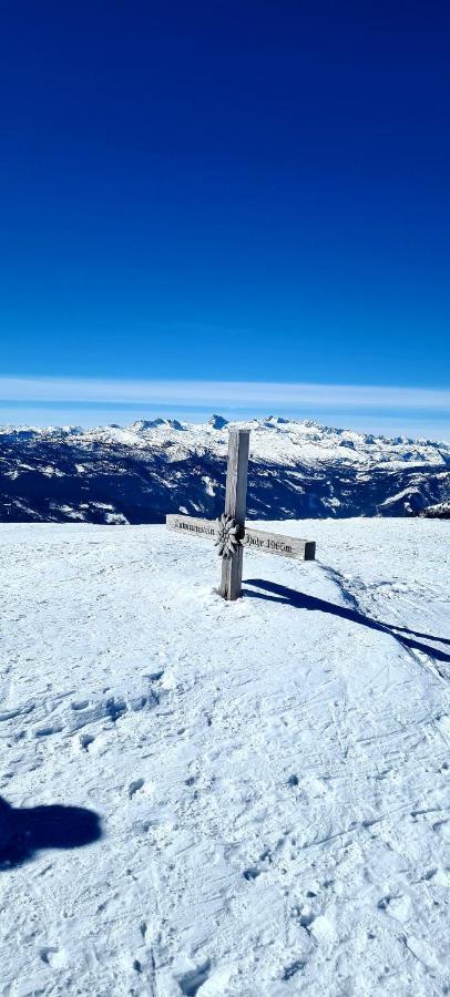 Ferienwohnungen Bergpanorama Bad Mitterndorf Exteriör bild