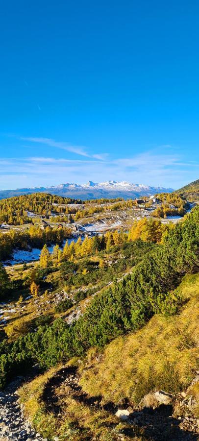 Ferienwohnungen Bergpanorama Bad Mitterndorf Exteriör bild