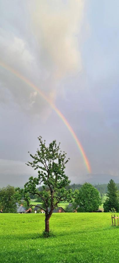 Ferienwohnungen Bergpanorama Bad Mitterndorf Exteriör bild
